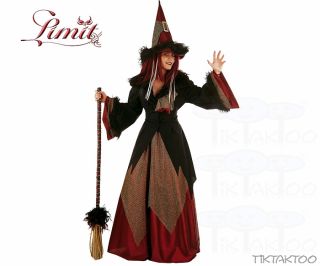 Das Kostüm der zauberhaften Hexe Dacha Gr. L besteht aus einem