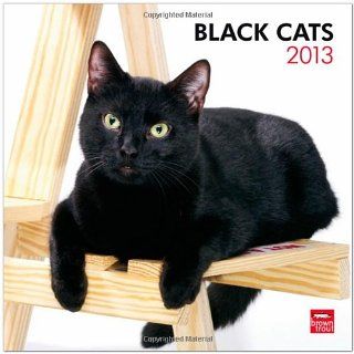 Black Cats 2013   Schwarze Katzen   Original BrownTrout Kalender