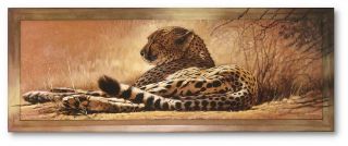 Bild Afrika Renato Casaro Litle Rest Leopard Gepard