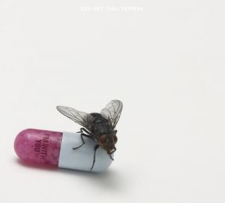 CD] Red Hot Chili Peppers   Im With You (10. Album)