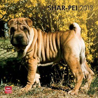 Kalender 2013 Shar Pei   chinesischer Faltenhund   Browntrout