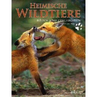 Heimische Wildtiere. Bilder und Geschichten Daniela Lipka