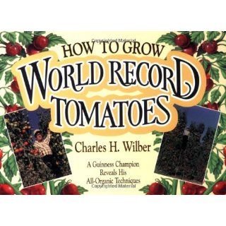 How to Grow World Record Tomatoes A Guiness Champion Reveals His All