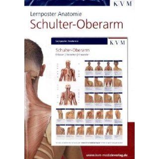 Lernposter Anatomie. Schulter   Oberarm: Sabine Poppe