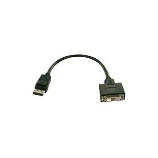 Fujitsu Display Port/DVI Adapter Cable: Computer & Zubehör