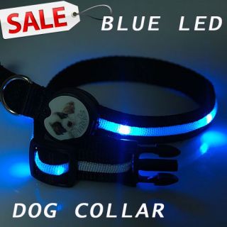 LED Hundehalsband Leuchthalsband Hunde Halsband BLAU LEDs 50CM