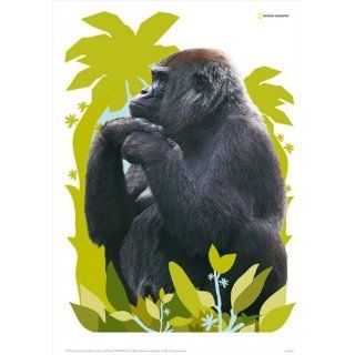 Decofun 41370 Maxi Aufkleber National Geographic   Gorilla 