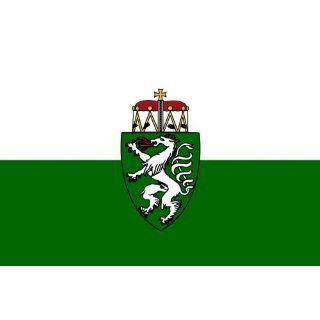 Steiermark Flagge Fahne 90 * 150 cm