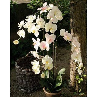 Kunstblume Premium Orchidee Phalaenopsis getopft creme rosa 115cm XL