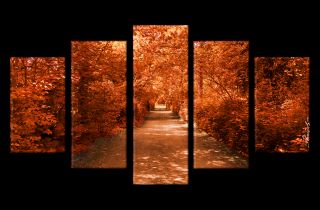 Allee Herbst Weg Bäume Park Bild Bilder Wandbild Kunstdruck 5 Teilig