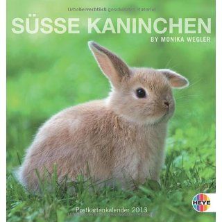 Süße Kaninchen 2013. Postkartenkalender Monika Wegler