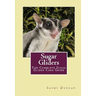 Sugar Gliders The Complete Sugar Glider Care Guide eBook Sandy