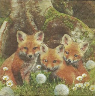 Servietten Napkins Tiere Fuchs Fuchsbaby´s Wald #320