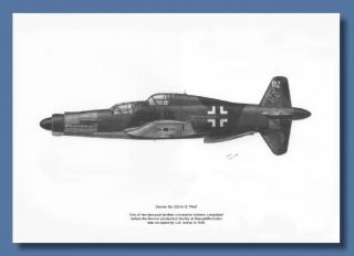 WWII Aviation Art Dornier Do 335 Pfeil