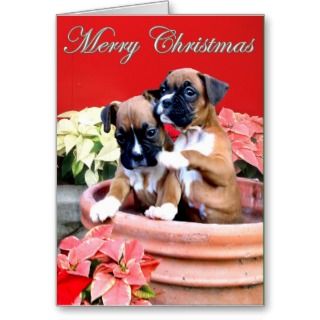 Christmas boxer puppy greeting card