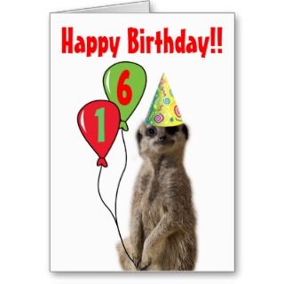 Party Like a Meerkat Birthday Card