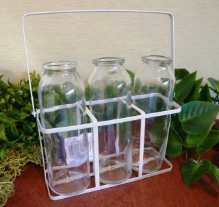 Flaschenhalter Vase 3er und 6er aus Glas und Metall