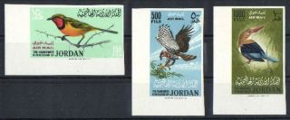 Jordanien einheimische Vögel ungezähnt