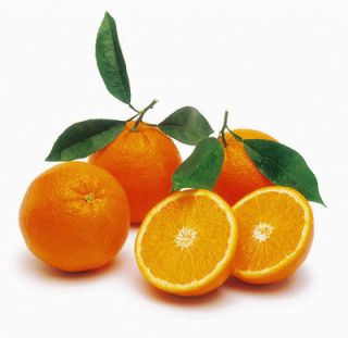 Orange Sweet,Citrus Aurantium,Citr us Sinensis 100% Pure CO2 Extract