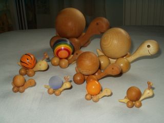 Schildkröten aus Holz mit beweglicher Kugel, verschiedene Größen