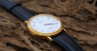 Rarität Pierre Chatelain Automatic Uhr 17 JEWELS Luxusuhr aus