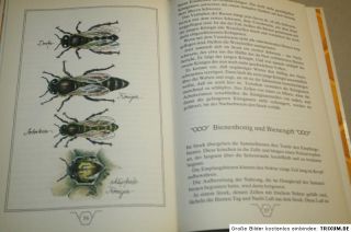 Kleines Bienenbuch, Imker, Bienen, Imkerei für Kinder, DDR 1981