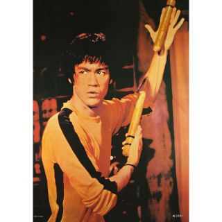 Bruce Lee Poster, The Menace, Kung Fu Master, NEU