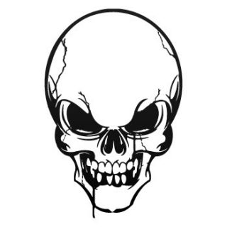 Vinyl Decal Sticker Skull Death Devil ZE52X