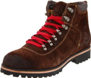 Timberland Mens Darden Hiker Boot: Shoes