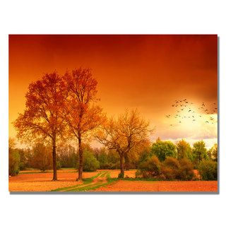Philippe Sainte Laudy Orange World Canvas Art