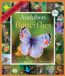 Audubon Butterflies 2012 Calendar (Calendar)