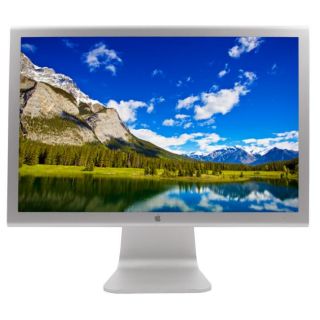 Apple A1081 20 inch Widescreen LCD Monitor (Refurbished)