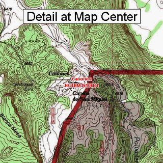 USGS Topographic Quadrangle Map   Canones, New Mexico