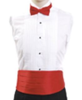 Boys Solid Poly Satin   Bow Tie and Cummerbund Sets , Red