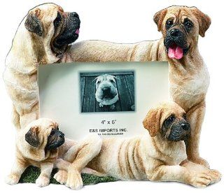 E&S Pets 35257 103 Large Dog Frames: Pet Supplies