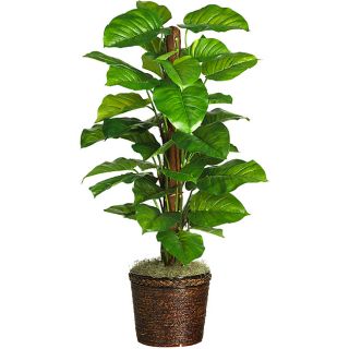 Large leaf 51 inch Philodendron Silk Plant