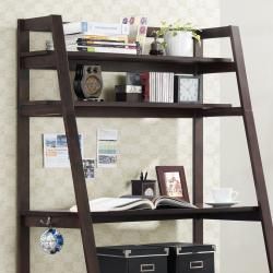 Aldosa Ladder Desk and Shelf Set