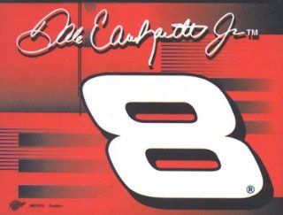 Dale Earnhardt Jr. Nascar Racing Driver Flag: Sports