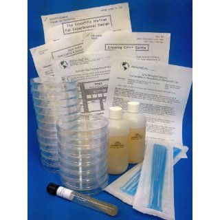 Science Stuff® Agar Kit for Science Fair Project w/ E coli Bacteria