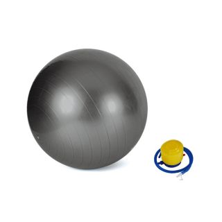 Valor Fitness EJ 6 Anti Burst Gym Exercise Ball Today: $24.49 4.6 (7