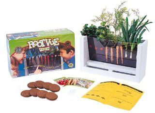 Scholastic Root Vue Farm Toys & Games