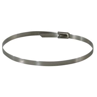 Stainless Steel Cable Zip ties (Pack of 25) Today: $15.99