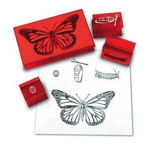 Learning Resources Ler1115 Butterfly Life Cycle Stamp