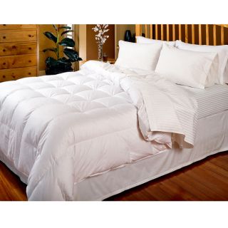 Micro Brushed Twill Cotton 240 Thread Count Down Comforter