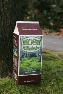 Moss Milkshake Patio, Lawn & Garden