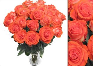 125 Wedding Orange Roses (18 in. stem lenght)