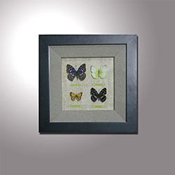 Butterfly Shadow Box (Set of 2)
