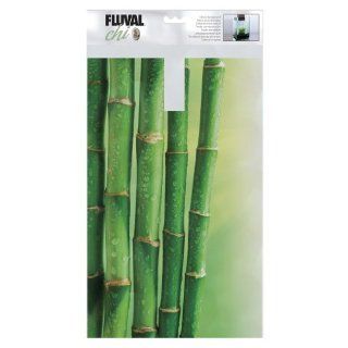 Fluval Chi Bamboo Background