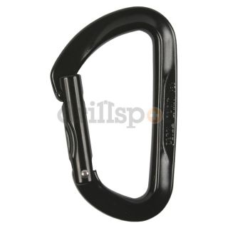 Petzl M53 SN Carabiner, Aluminum, 4 In. L, No Lock