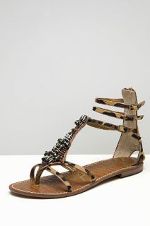 Sam Edelman  Giada Taupe Sandals for women